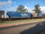 RUMO HTT-350700-8